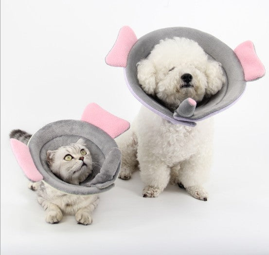 Floral Pet Protection Collar