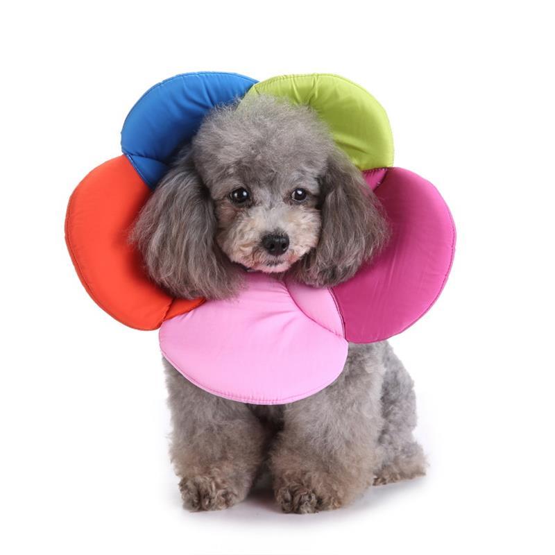 Floral Pet Protection Collar