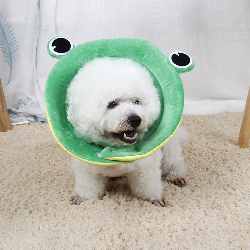 Floral Pet Protection Collar