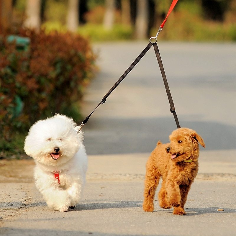 Double Dog Leash Coupler – No-Tangle Twin Lead for Walking 2 Dogs