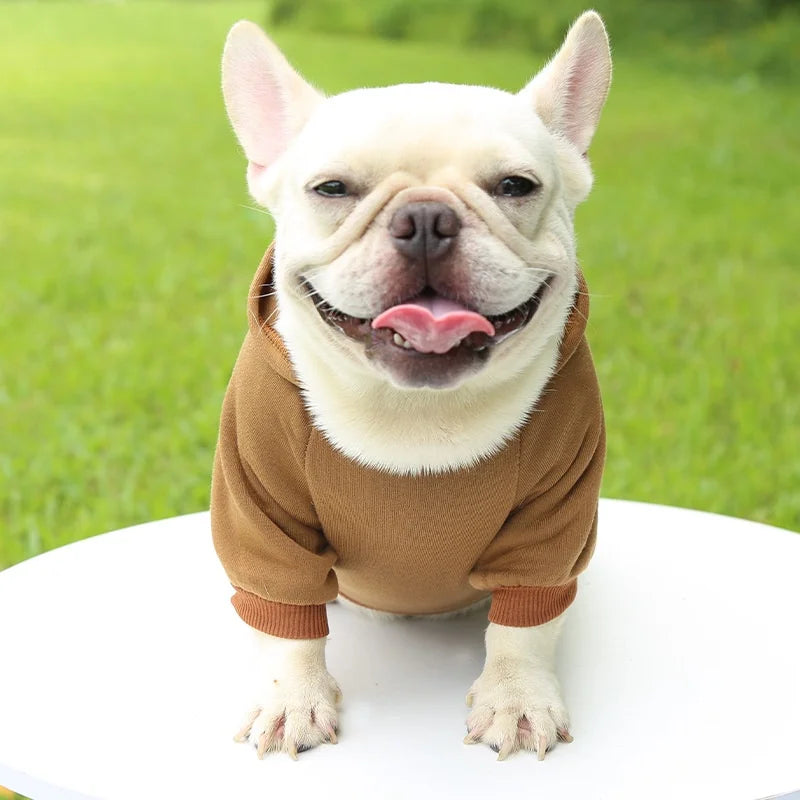 Dog Hooded Winter Sweatshirt