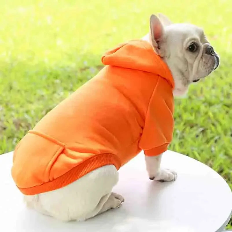 Dog Hooded Winter Sweatshirt