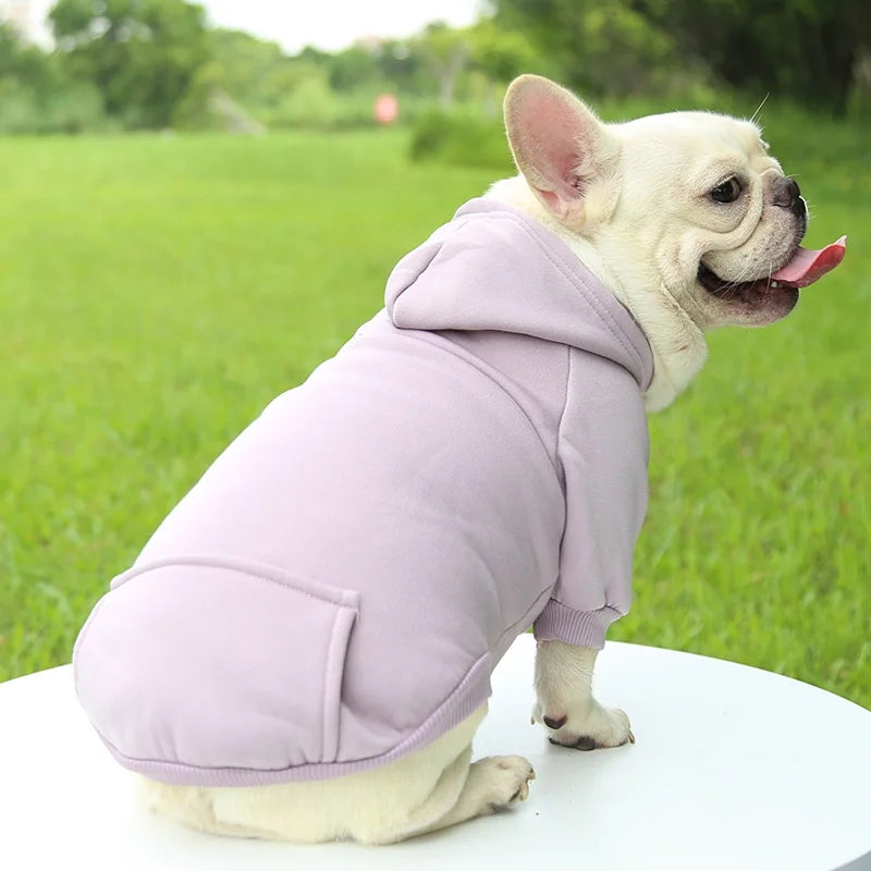 Dog Hooded Winter Sweatshirt