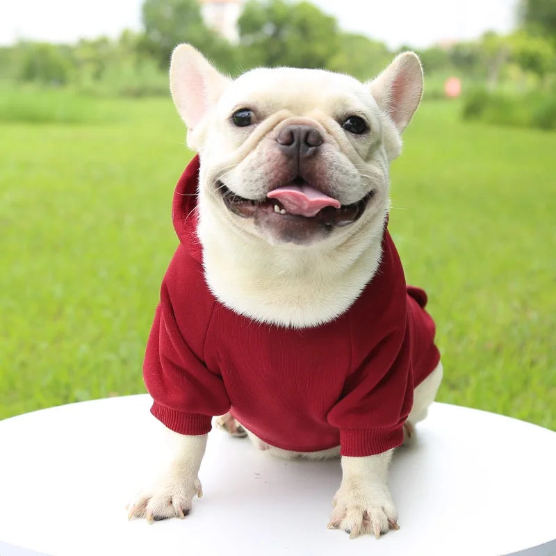 Dog Hooded Winter Sweatshirt