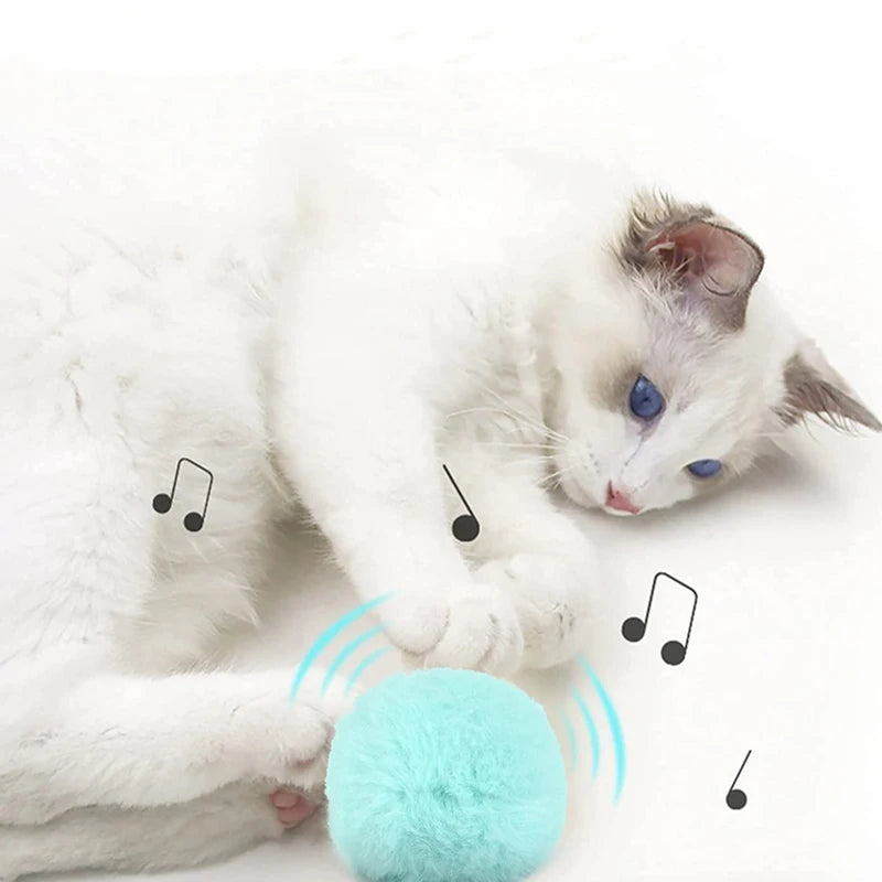 Interactive Cat Ball