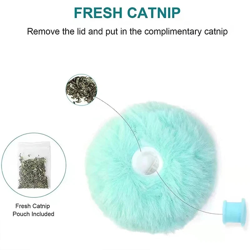 Interactive Cat Ball
