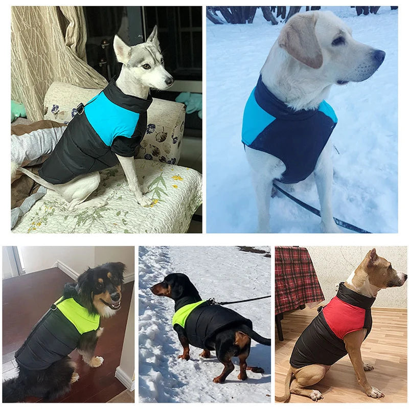 Winter Pet Dog Clothes