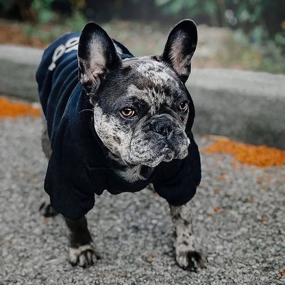 Pet Hoodies