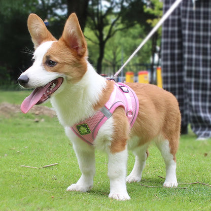 Reflective Pet Harness and Leash Set - Perfect for Dogs & Cats