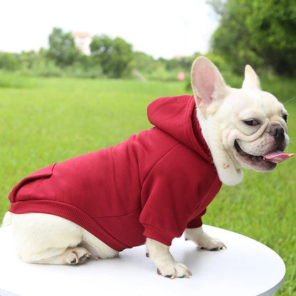 Thickening Warm Pet Clothes