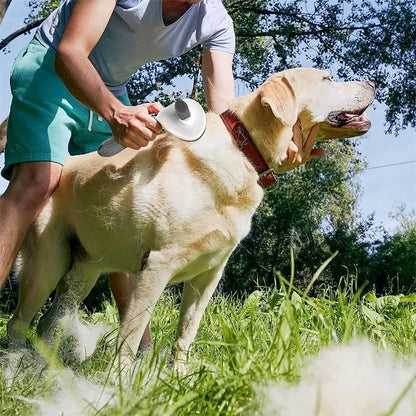 Pet Brush Comb