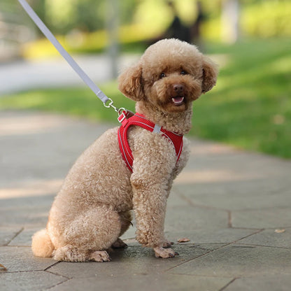 Dog Harness Leash Set for Small Dogs