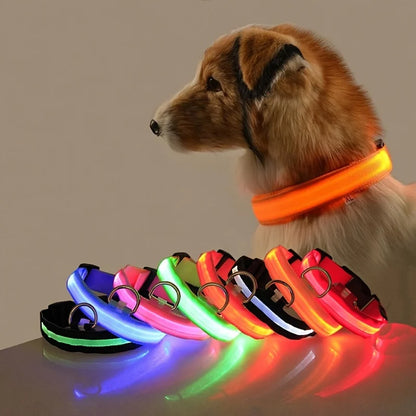 Nylon LED Safety Glow Collar for Dogs