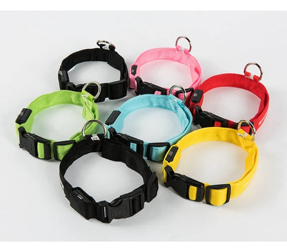 Nylon LED Safety Glow Collar for Dogs