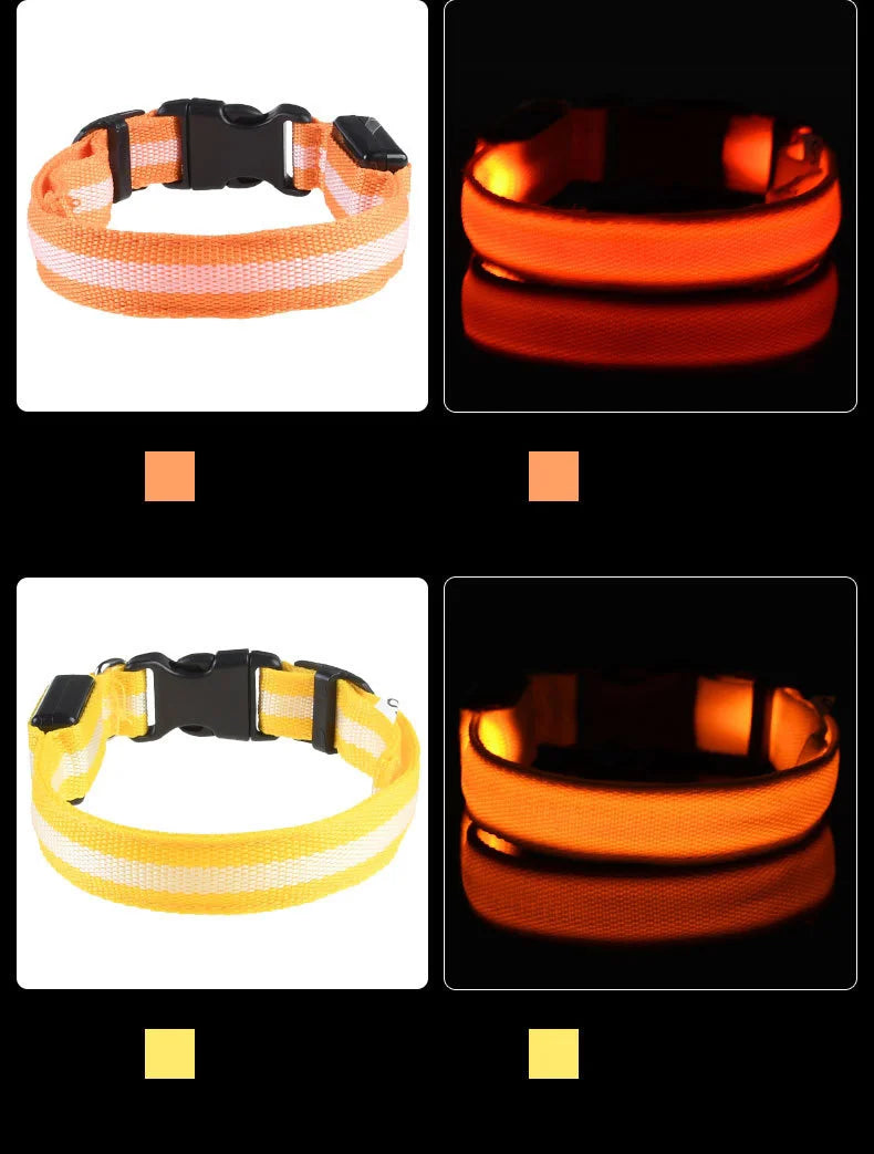 Nylon LED Safety Glow Collar for Dogs