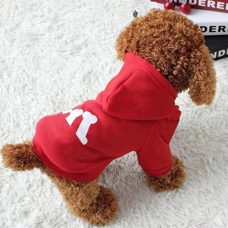 Trendy Bone Pattern Pet Clothing with Letter Print