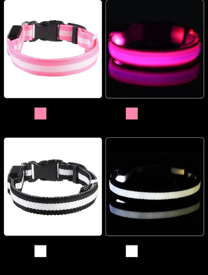 Nylon LED Safety Glow Collar for Dogs