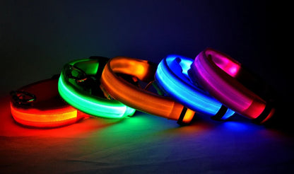 Nylon LED Safety Glow Collar for Dogs