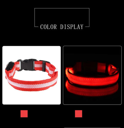 Nylon LED Safety Glow Collar for Dogs